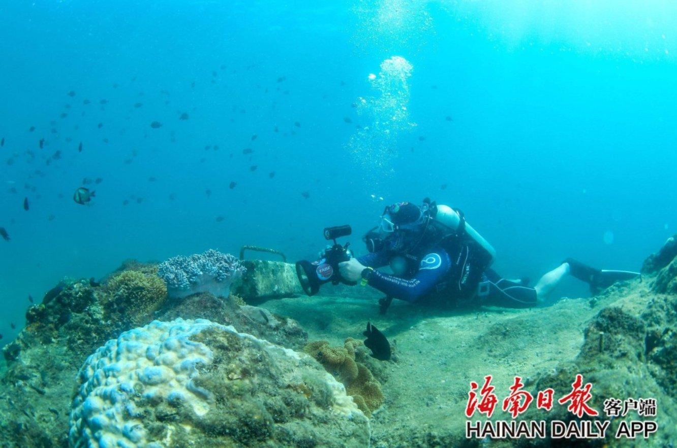 水果时尚风格
